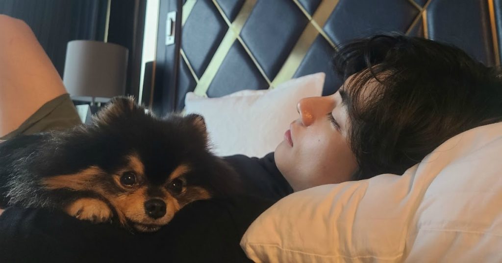 Mystery Solved: BTS's V révèle la personne qui a pris ses plus belles photos de chien-papa