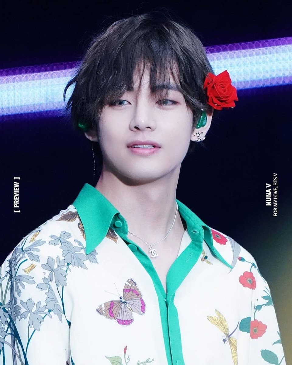 bts v main