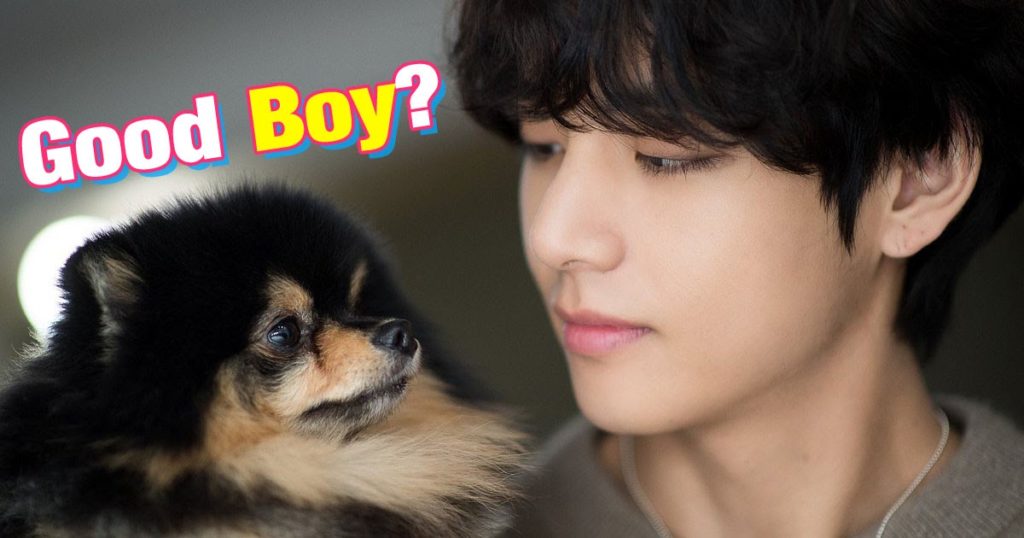 Yeontan a fait un menteur de V de BTS à la télévision nationale