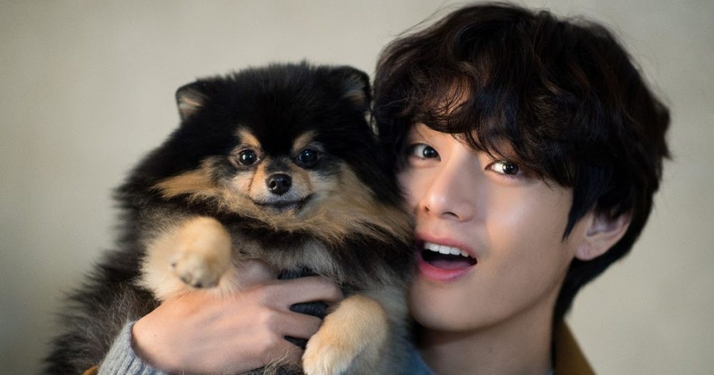 On a posé une question simple au V de BTS sur Yeontan ... et il s'est instantanément transformé en un fier «papa»