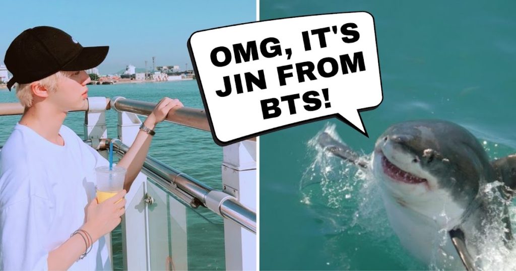 Jin de BTS prouve qu'il peut se faire un ami (et un fan) de n'importe qui... même des requins