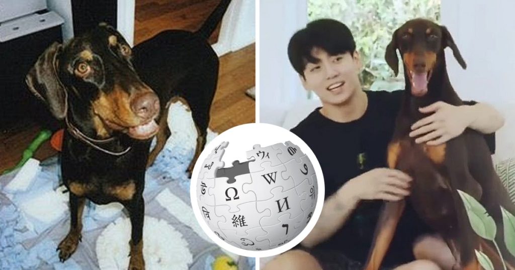 Les ARMYs sont tombés amoureux du chien Bahm de BTS Jungkook, et voici la preuve à quel point il est vraiment célèbre