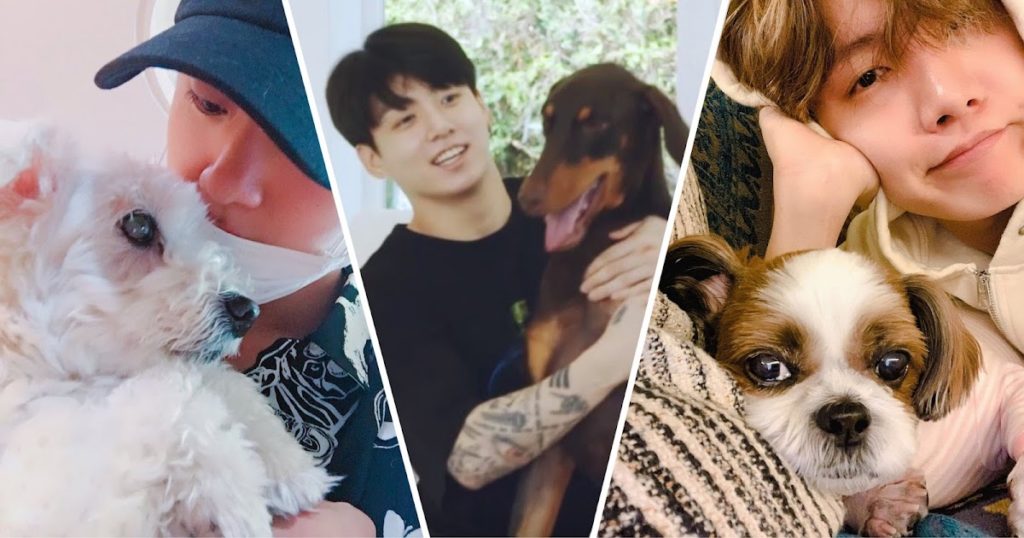 BTS aime tellement les animaux que ça leur brise le cœur quand ils vieillissent