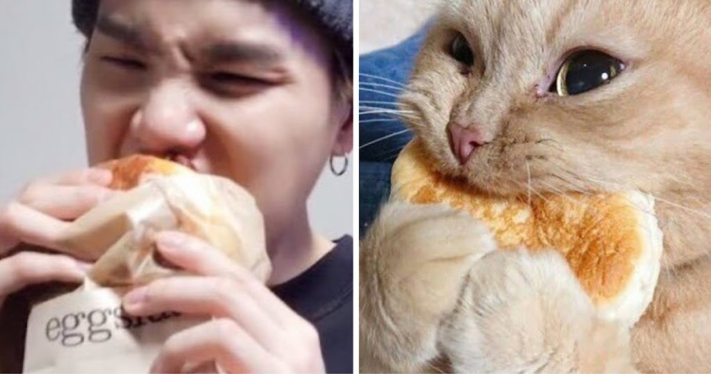 Voici plus de 20 photos adorables de Suga de BTS en tant que mèmes de chat emblématiques