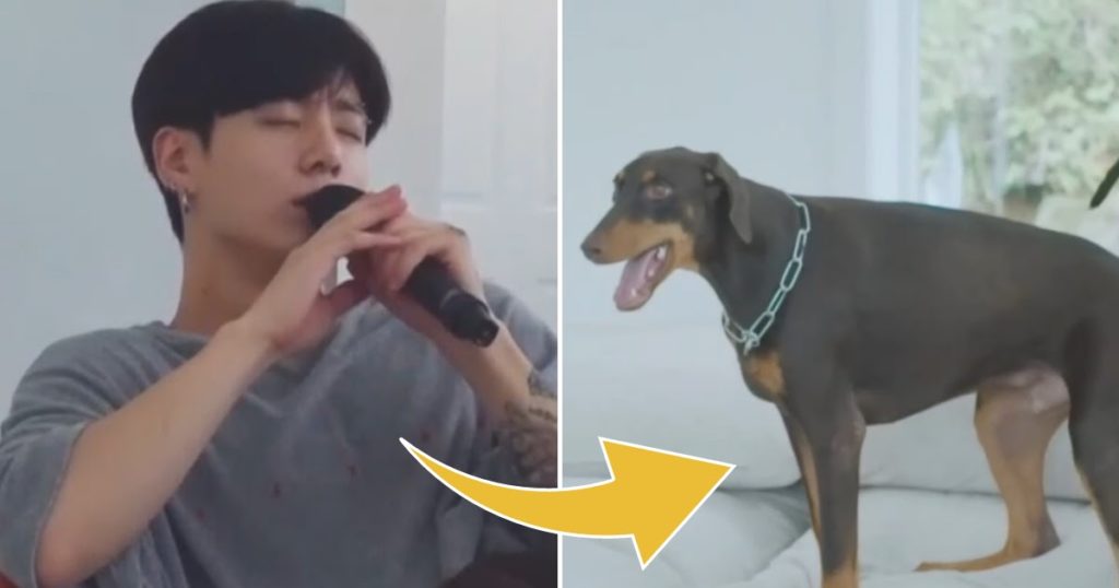 Jungkook de BTS sérénade son chien Bam—et d'autres moments qui nous ont fait devenir "Aww" chez le couple père-fils