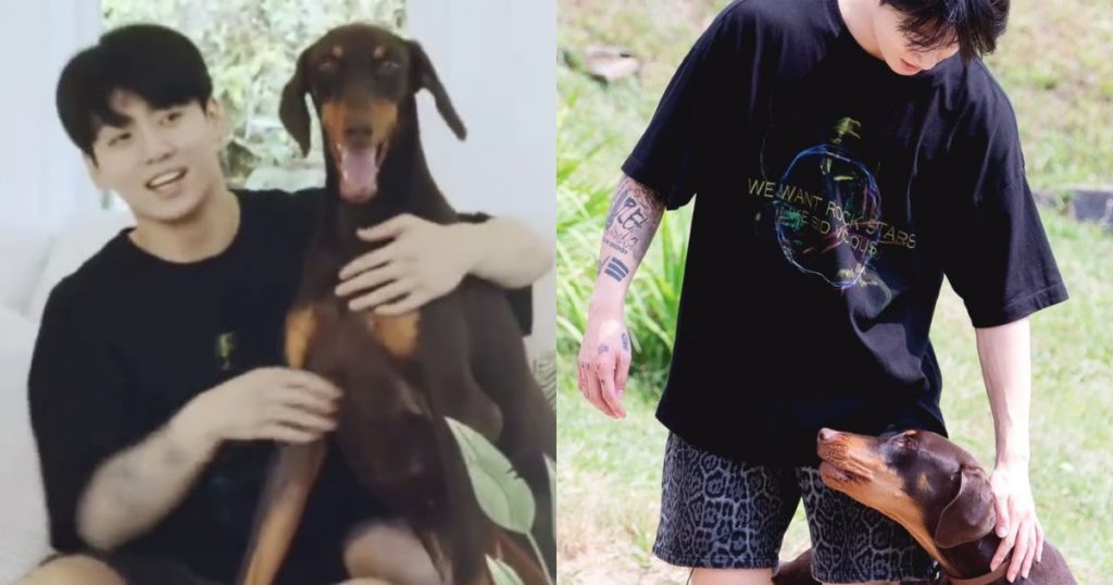 Sweet Dog Bam de BTS Jungkook fait changer d'avis les internautes sur les dobermans