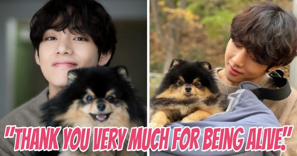 Le message émotionnel V de BTS à son chien Yeontan montre leur lien indestructible