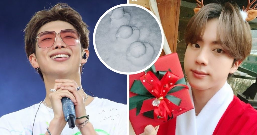 Lorsque le RM de BTS ne pouvait pas promettre un retour du canard des neiges "DTS", le "Père Noël" Jin avait le cadeau parfait