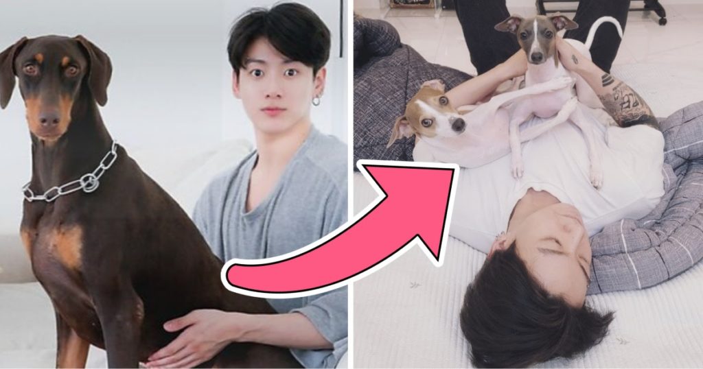 Jungkook de BTS commence la nouvelle année en présentant les ARMYs à la famille de son chien Bam sur Instagram