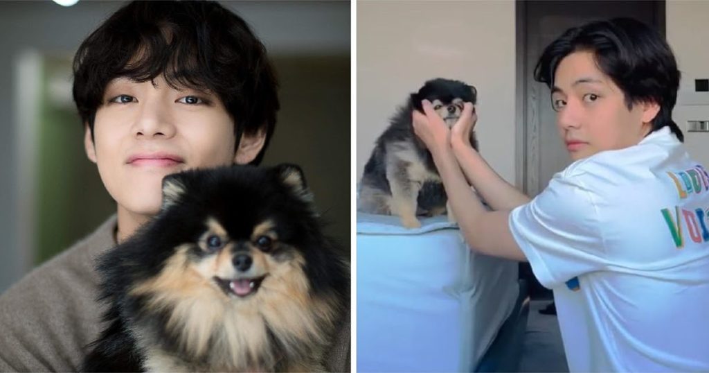 V de BTS fait fondre le cœur des fans après avoir publié d'adorables vidéos avec Yeontan, et cela rayonne de "Boyfriend Vibes"