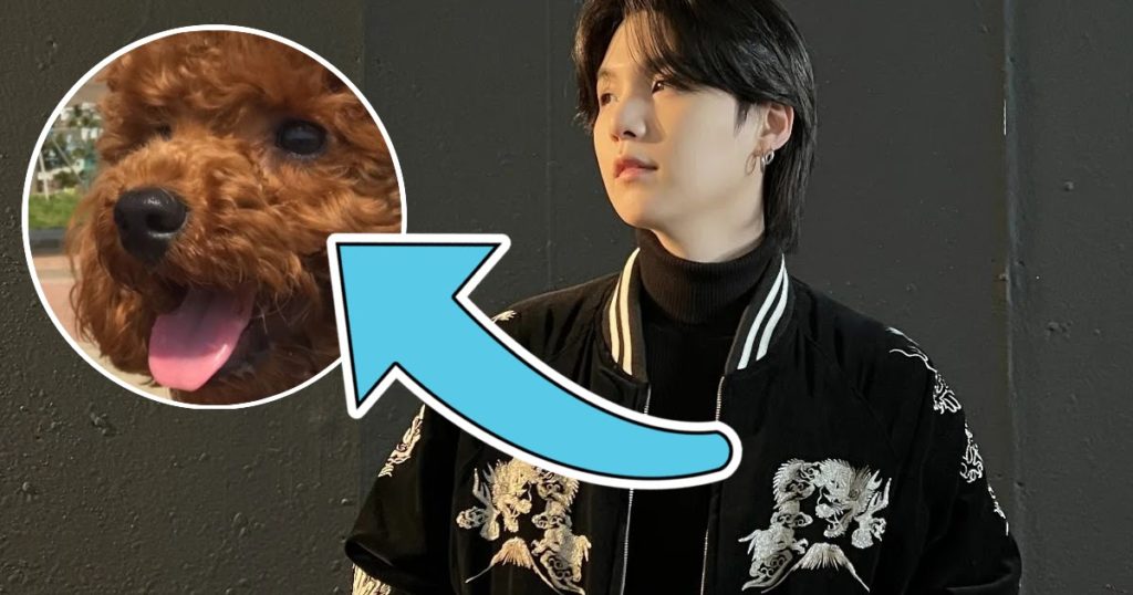 Le chien Holly de BTS Suga est à la fois un modèle et une humeur dans la dernière mise à jour Instagram de Suga