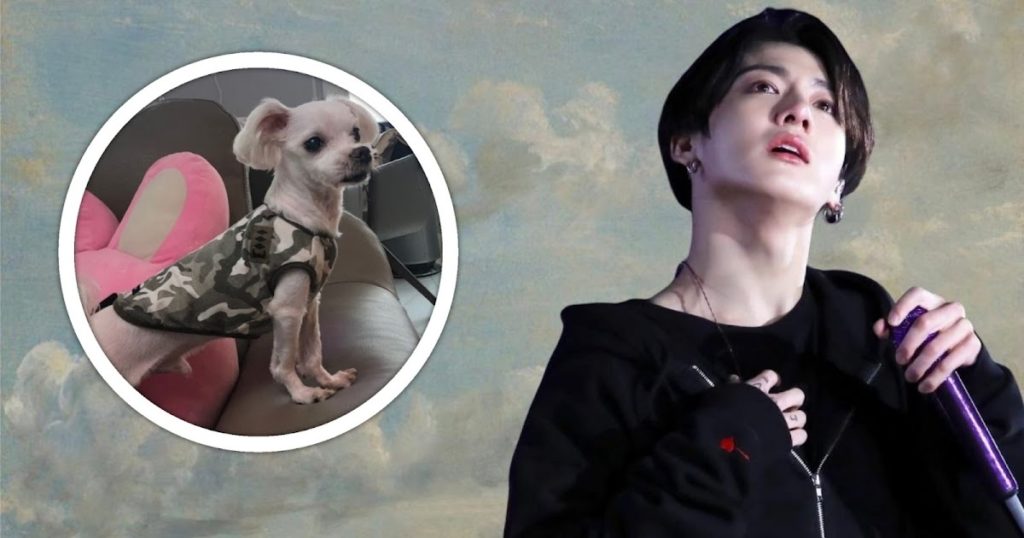 Les ARMY présentent leurs condoléances au chien de la famille de BTS Jungkook, Gureum, après son décès