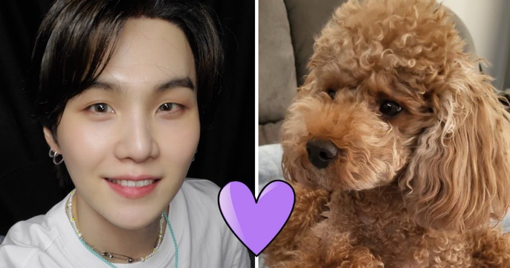 Une fan découvre son cadeau fait main à Suga de BTS sur une photo de la fête d'anniversaire de son chien