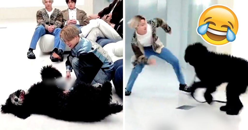 La différence entre Jungkook et Jimin de BTS jouant avec des animaux montre leurs personnalités opposées