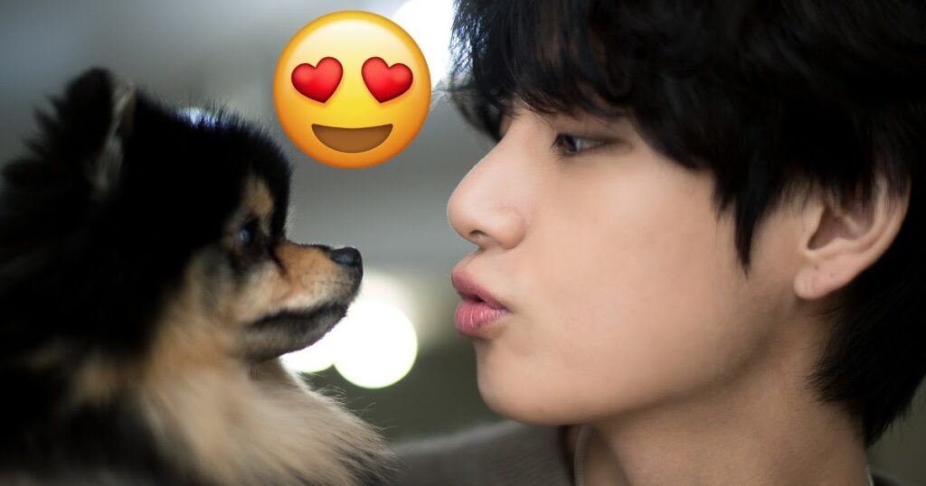 5 fois où BTS a parfaitement exécuté les mêmes poses avec leurs animaux de compagnie