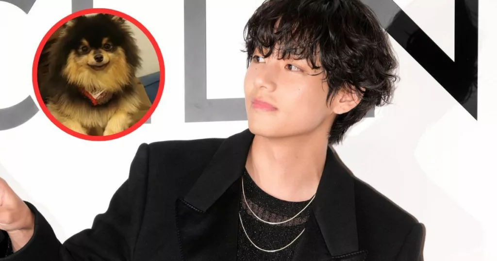 Pourquoi Yeontan était destiné à rencontrer le meilleur papa chien du monde – V de BTS