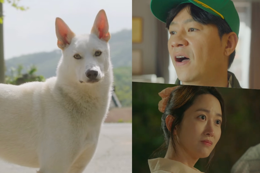 Jung Sang Hoon et Jeon Hye Bin naviguent dans le chaos du village à cause d'un chien dans le teaser de la comédie dramatique « The Pork Cutlets »