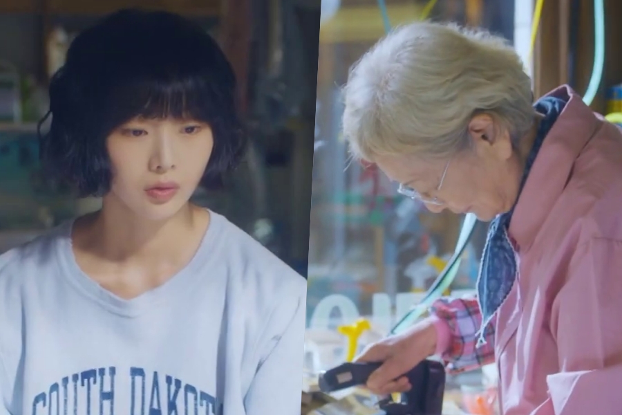 Regardez : Geum Sae Rok, Kim Young Ok et d'autres cherchent à améliorer leur vie dans le nouveau teaser de « Iron Family »